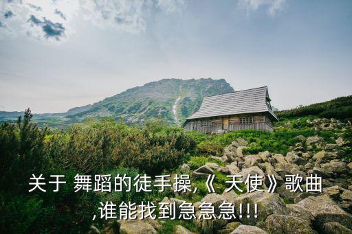 杭州天使舞蹈,邹城小天使舞蹈群成立于2016年2月17日