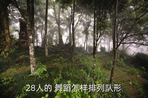 舞蹈斜线怎么跳,反身动作不能倾斜但脚踏车可以向右倾斜