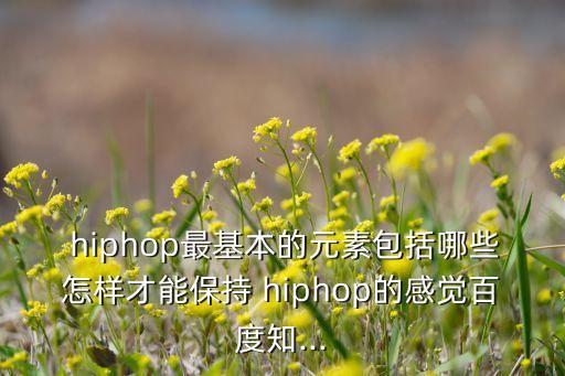  hiphop最基本的元素包括哪些怎样才能保持 hiphop的感觉百度知...