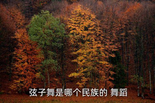 弦子舞蹈基础,藏族弦子舞蹈表演者以弦乐器演奏