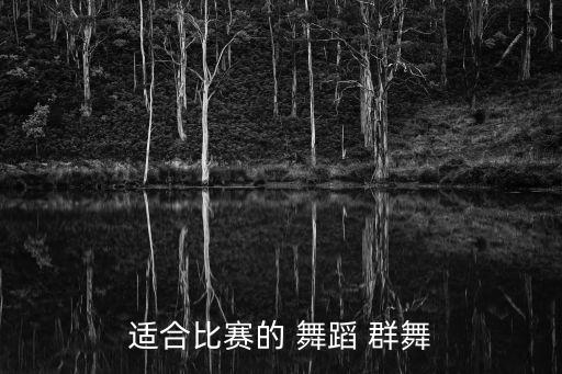 适合比赛的 舞蹈 群舞