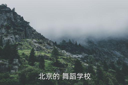 北京高端舞蹈,北京舞来舞蹈学院芭蕾舞蹈系排球队夺银