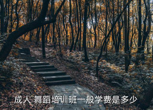 青岛学舞蹈价格,武汉舞蹈学校开设第二课堂