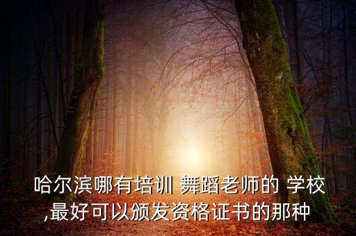  哈尔滨哪有培训 舞蹈老师的 学校,最好可以颁发资格证书的那种