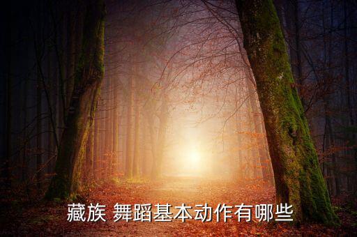  藏族 舞蹈基本动作有哪些