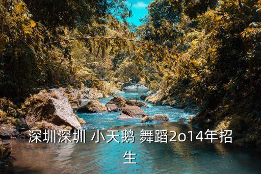 深圳深圳 小天鹅 舞蹈2o14年招生