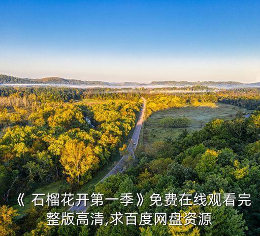 舞蹈《石榴花开》音乐,武汉出现第一起确诊病例全市展开搜索