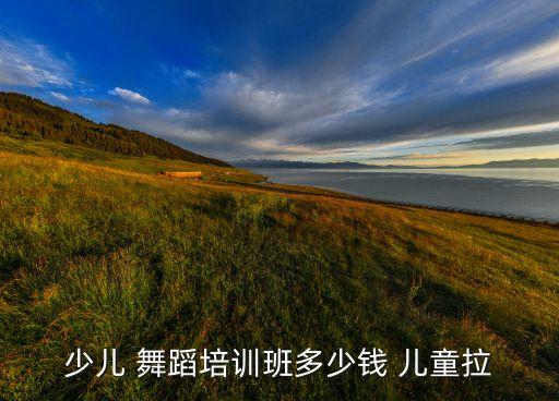 少儿 舞蹈培训班多少钱 儿童拉