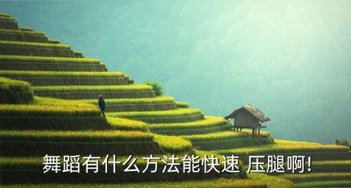  舞蹈有什么方法能快速 压腿啊!