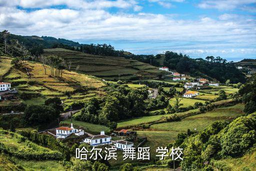  哈尔滨 舞蹈 学校