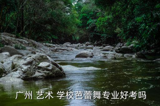 广州艺术舞蹈学校本科,广州艺术学校招生专业学校开设特色专业