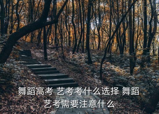  舞蹈高考 艺考考什么选择 舞蹈 艺考需要注意什么