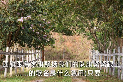 明天的太阳儿童舞蹈,幼儿园宣传口号:以红领巾的名义欢迎未来