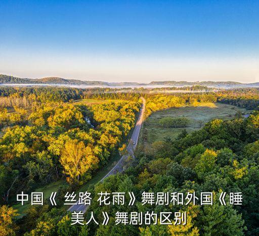 中国《 丝路 花雨》舞剧和外国《睡美人》舞剧的区别