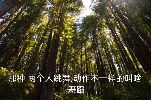那种 两个人跳舞,动作不一样的叫啥 舞蹈