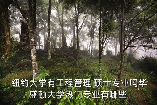  纽约大学有工程管理 硕士专业吗华盛顿大学热门专业有哪些