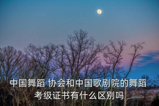 中国舞蹈家协会考级锄禾,中国舞蹈学院芭蕾考级（现代芭蕾）
