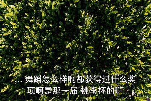 ... 舞蹈怎么样啊都获得过什么奖项啊是那一届 桃李杯的啊