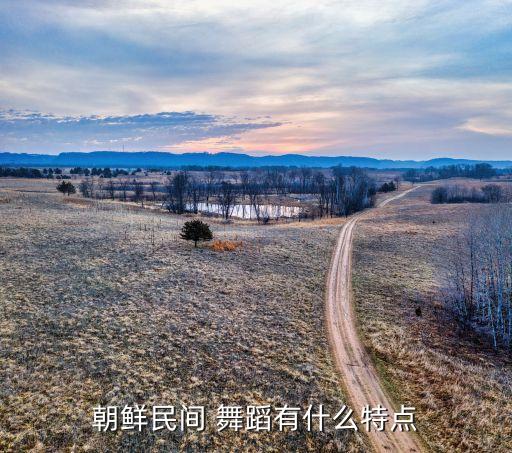 朝鲜民间 舞蹈有什么特点