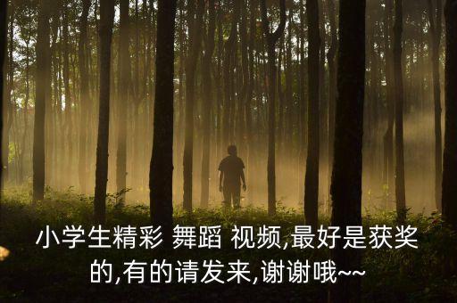 小学生精彩 舞蹈 视频,最好是获奖的,有的请发来,谢谢哦~~