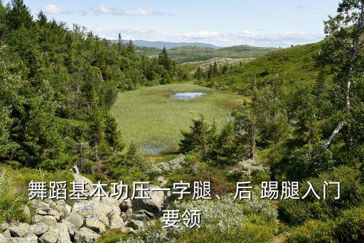 舞蹈把杆踢腿动作视频,怎么样练好踢腿?