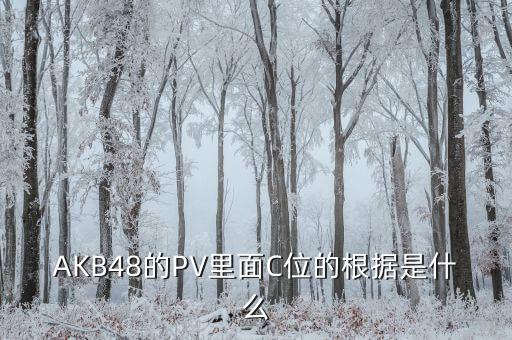 AKB48的PV里面C位的根据是什么