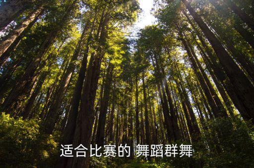 适合比赛的 舞蹈群舞