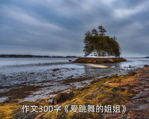 作文300字《爱跳舞的姐姐》