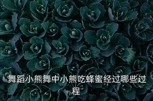  舞蹈小熊舞中小熊吃蜂蜜经过哪些过程