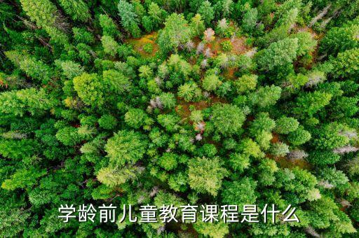 舞蹈教育史,学前教育课程设置与课程介绍