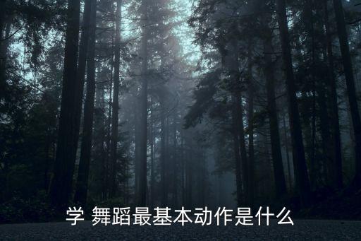 练舞蹈外开,芭蕾强调不要求中国舞外开