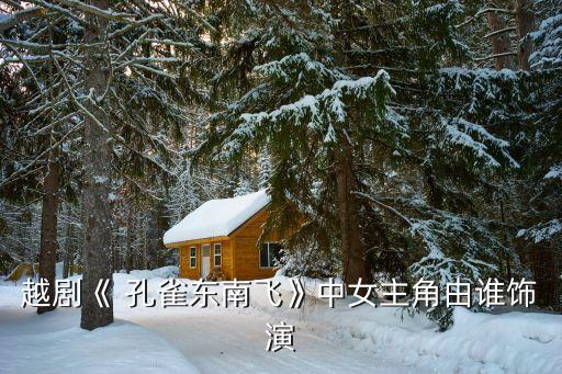 越剧《 孔雀东南飞》中女主角由谁饰演