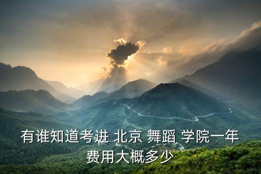 有谁知道考进 北京 舞蹈 学院一年费用大概多少