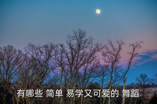 有哪些 简单 易学又可爱的 舞蹈