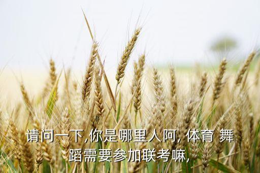 请问一下,你是哪里人阿, 体育 舞蹈需要参加联考嘛,