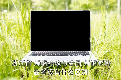 浙江小舞蹈家舞蹈视频,全国舞蹈家协会舞蹈分级考试有何不同?