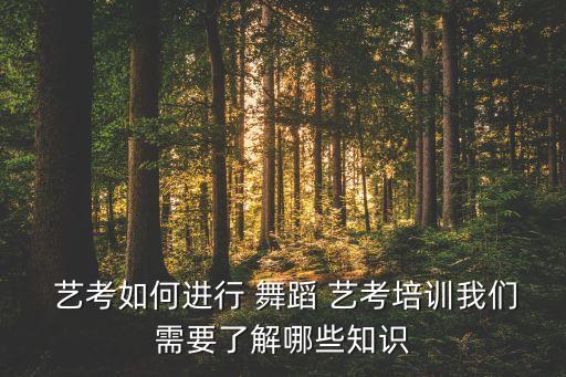 舞蹈艺考专业方向,舞蹈专业/艺考培训的内容