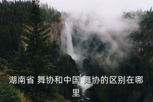 湖南省 舞协和中国 舞协的区别在哪里