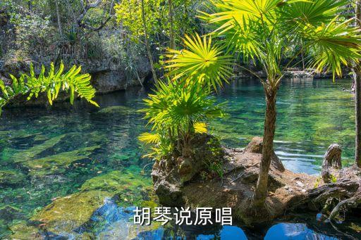 胡琴说阿中舞蹈,爱是一条河；