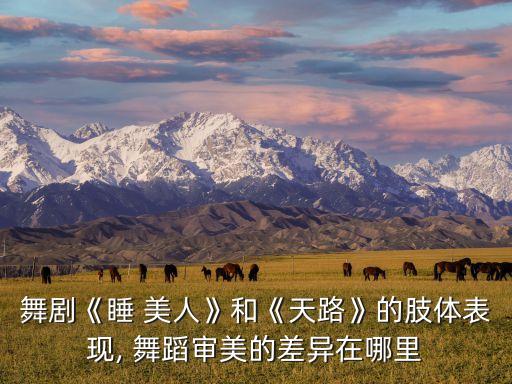 舞蹈《美人》,芭蕾舞剧继承传统在交响乐舞蹈中进行探索