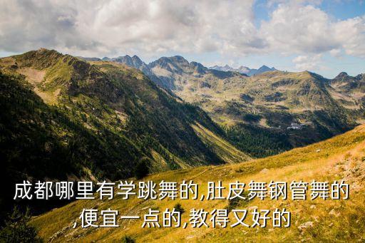 成都哪里有学跳舞的,肚皮舞钢管舞的,便宜一点的,教得又好的