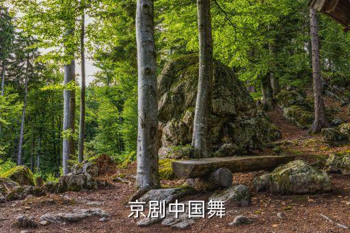 男孩京剧舞蹈视频,看完京剧不想看到这个