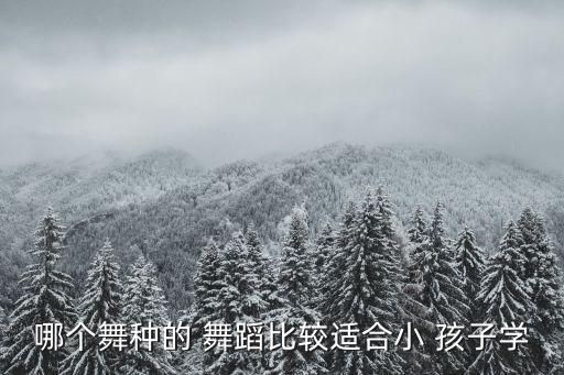 哪个舞种的 舞蹈比较适合小 孩子学
