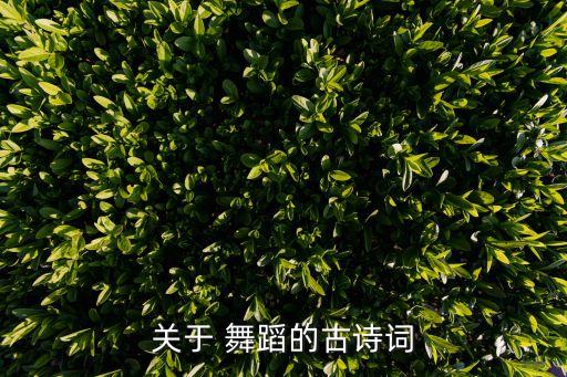 舞蹈 激楚,醉舞长袖鸡鸣第二集