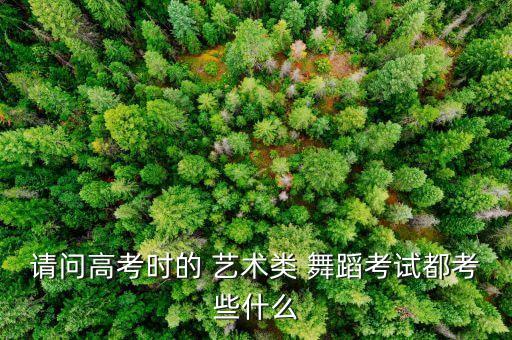 请问高考时的 艺术类 舞蹈考试都考些什么