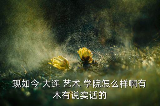 现如今 大连 艺术 学院怎么样啊有木有说实话的