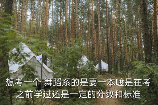 想考一个 舞蹈系的是要一本嚒是在考之前学过还是一定的分数和标准