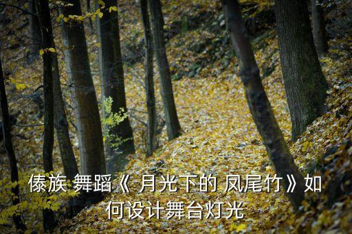 傣族 舞蹈《 月光下的 凤尾竹》如何设计舞台灯光