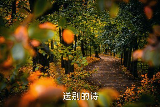 送别舞蹈小学生,送别闺蜜徐的原创作品分别时的诗歌