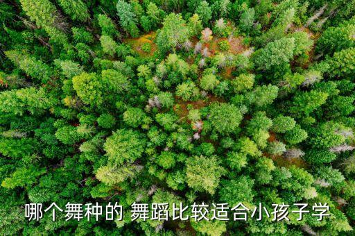 中国好舞蹈芭蕾曲目,芭蕾舞蹈团在巴黎举办第一场表演